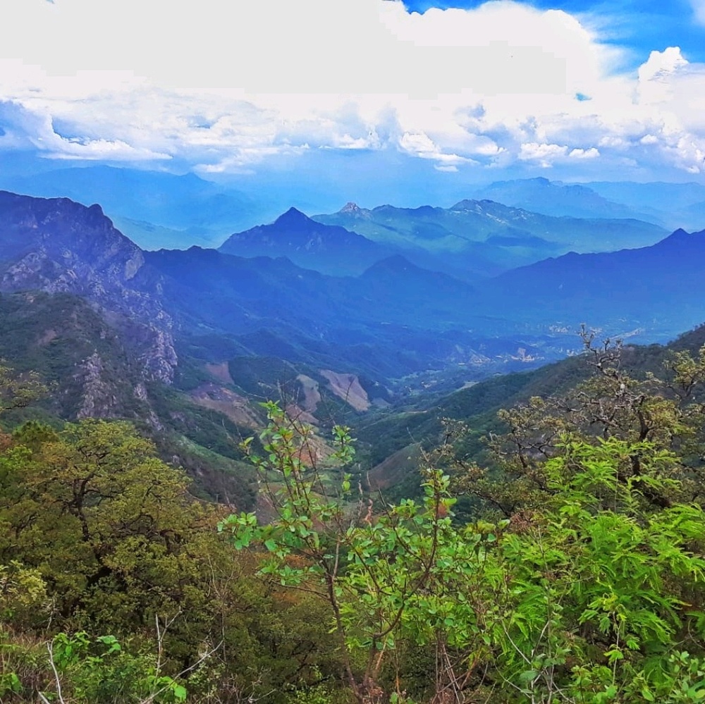 Meet your Posher, Eduardo